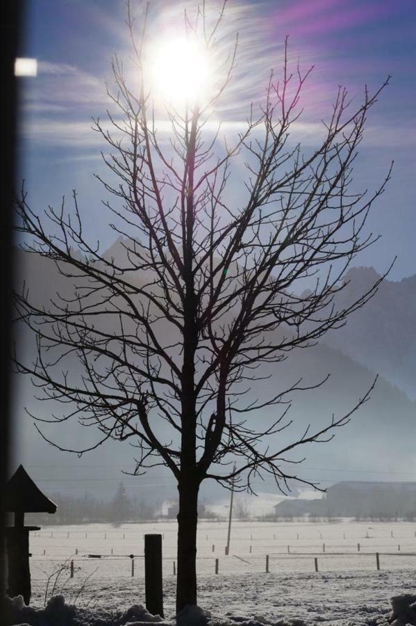 Loetje Daire Gosau Dış mekan fotoğraf
