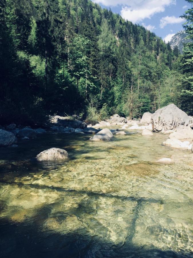 Loetje Daire Gosau Dış mekan fotoğraf